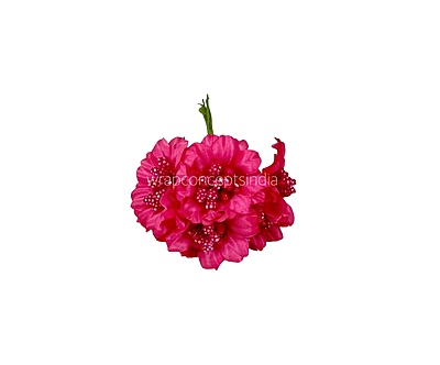 Fuchsia Flowers with Fuchsia Pollens