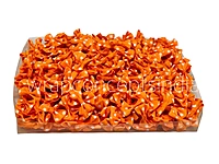 Polka Bow Big - Orange with White