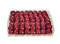 Small Peony- Wine