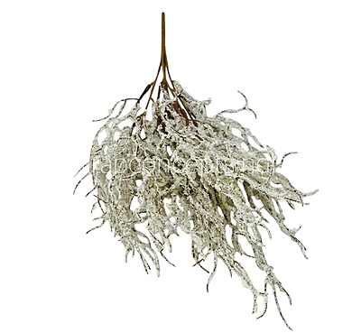 Frosted Willow Spray