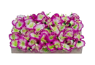 White & Magenta Shaded Lily