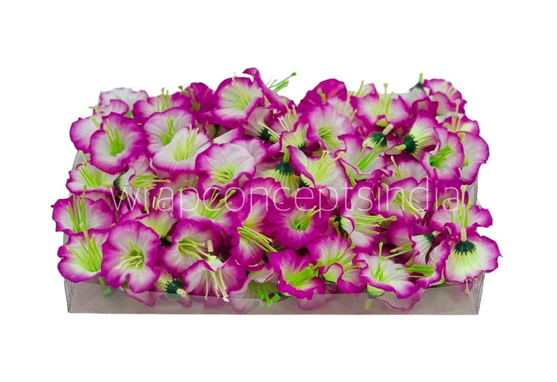 White & Magenta Shaded Lily