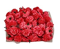 Small Carnation - Fuchsia Pink