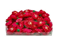 Fuchsia Small Dahlias