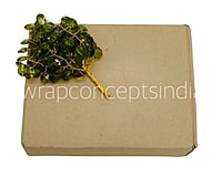 Stone Add-ons on Stick - Multicolor