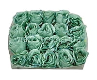 Seafoam Rose Flower