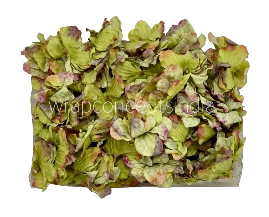 Moss Green Shaded Petunias