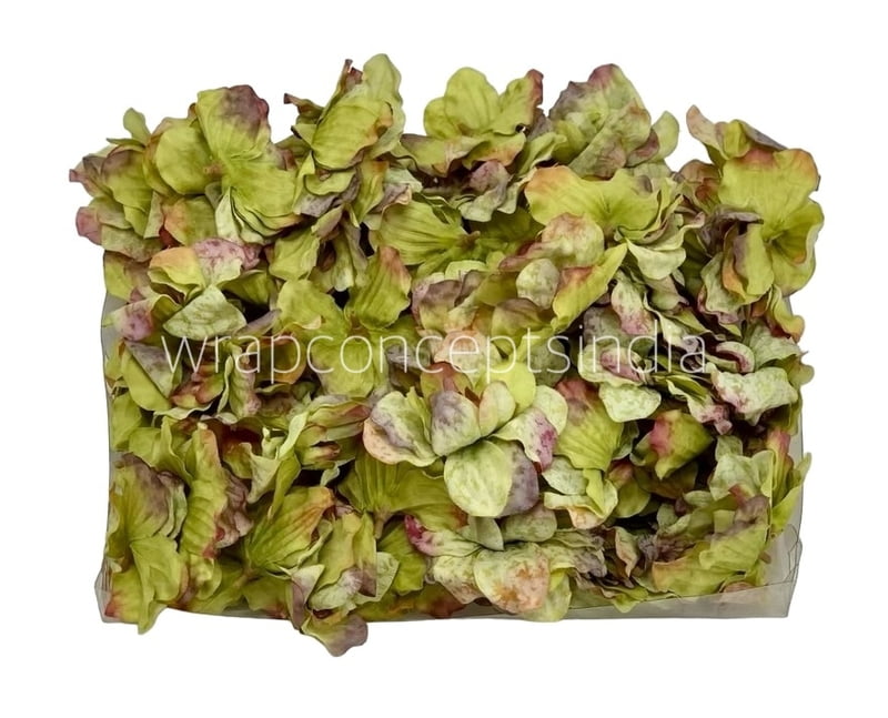 Moss Green Shaded Petunias