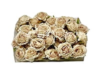 Ecru Small Roses