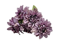 Blue & Green Small Carnation Bunch