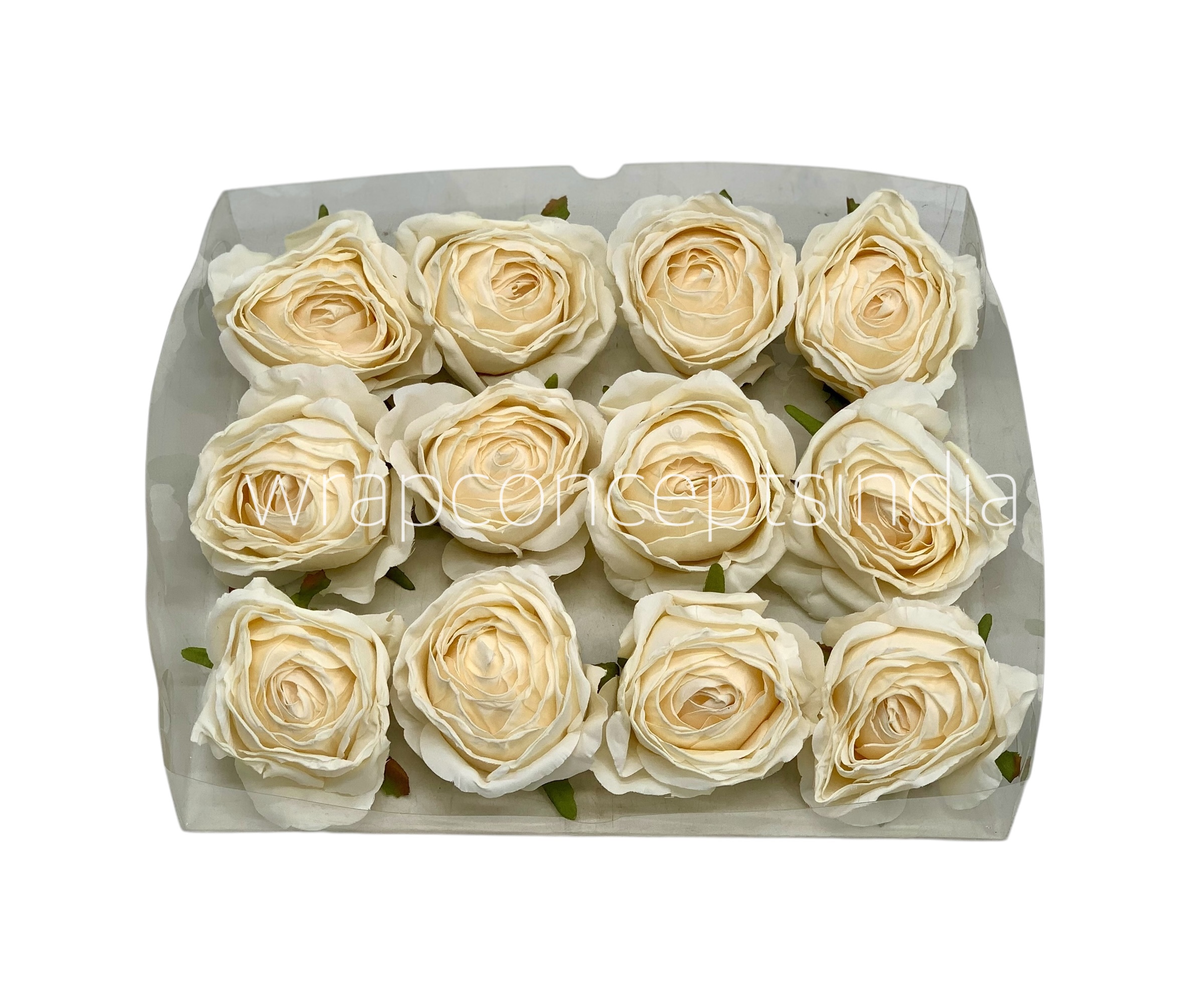 Cream Roses