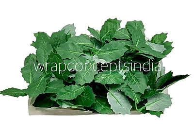 Dark Green Birch Leaves