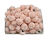 Small Carnation - Soft Peach