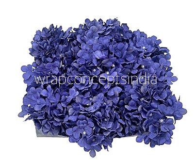 Royal Purple Hydrangeas