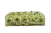 Rose Small – Sage Green