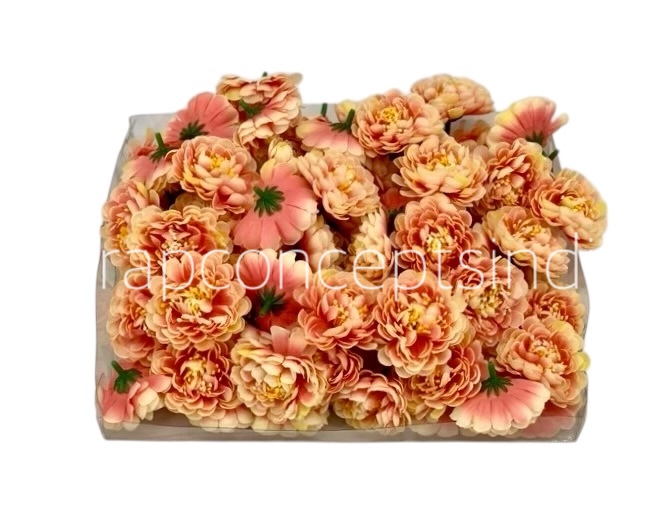 Peach with Lemon Small Dahlias