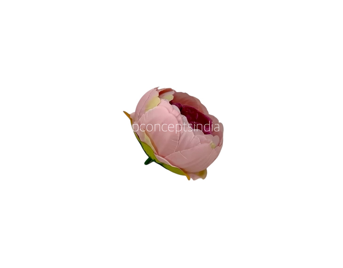 Peony - Peach with Damson