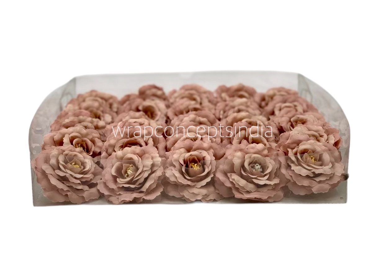 Almond Open Rose