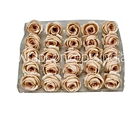 Uncounted Blush with Burgundy Peonies-Indian Red Uncounted