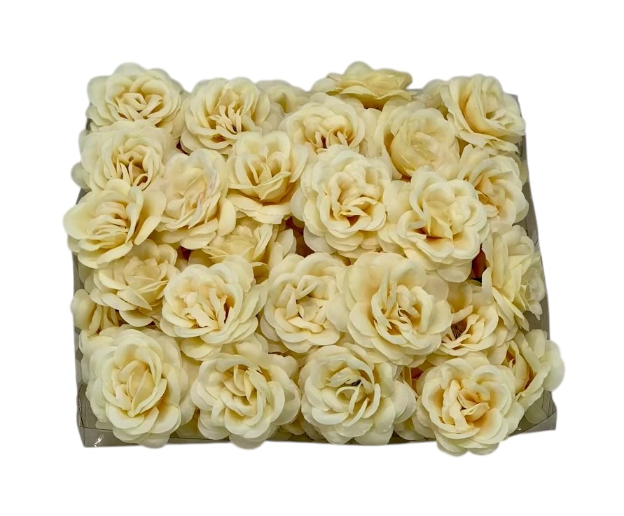 Uncounted Accessories-Sea Shell Accessory - White