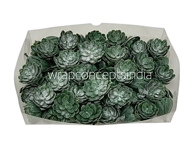 Faux Succulent - Dark Green