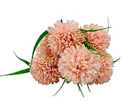 Carnation Bunch - Mullticolour