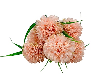 Carnation Bunch - Mullticolour