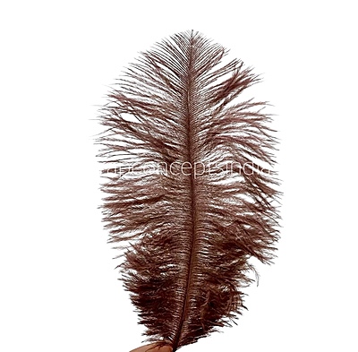 Faux Feather Rounded Edges