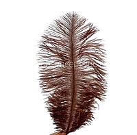 Faux Feather Rounded Edges-Brown