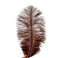 Faux Feather Rounded Edges-Brown