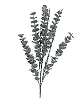Glitter Eucalyptus - Multicolor