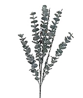 Glitter Eucalyptus - Multicolor