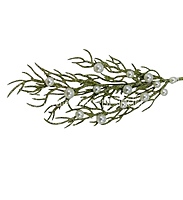 Long Coral Reef Sticks with Pearls