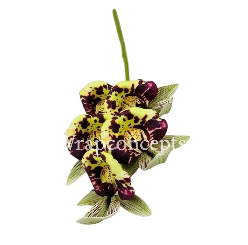 Orchid Sticks - Multicolor