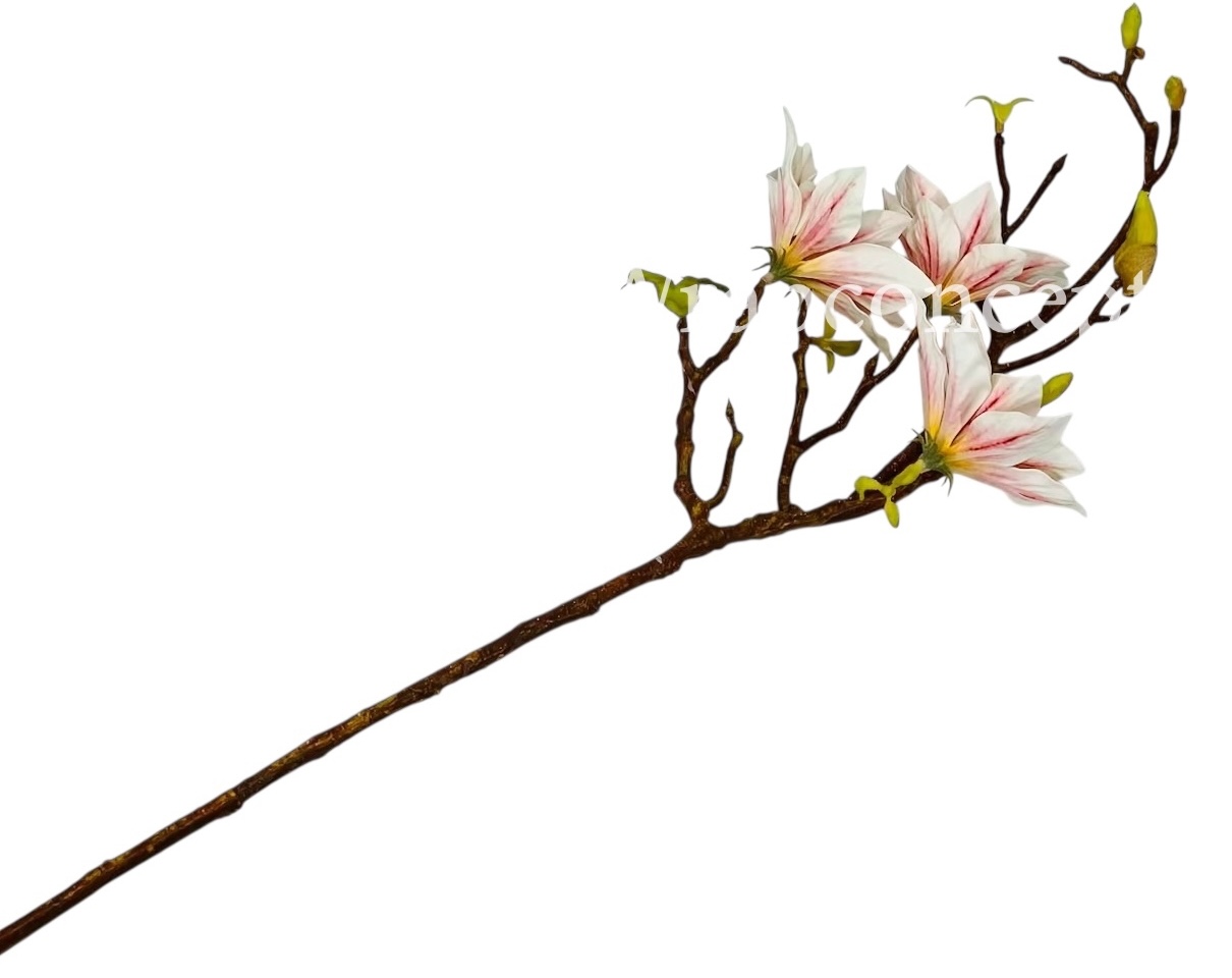 Copy of Orchid Sticks - Multicolor