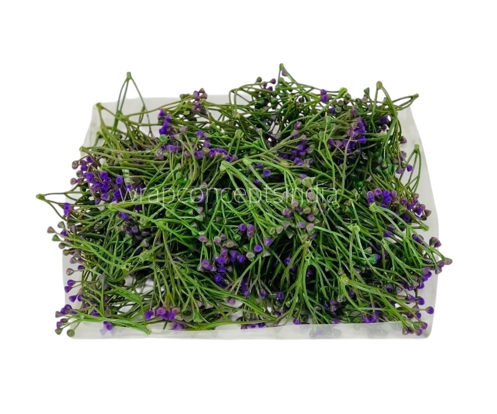 Purple Small Trio Fern Leaves