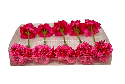 Fuchsia Flowers with Fuchsia Pollens