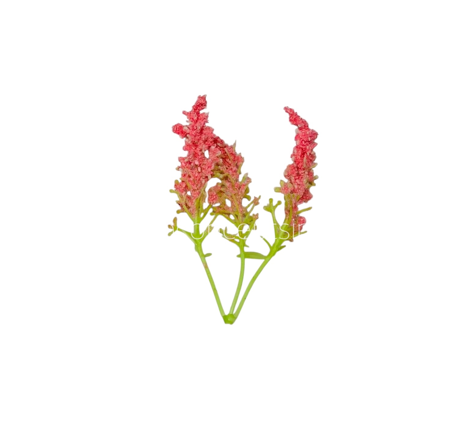 Trio Frosted Fern Leaves - Flamingo