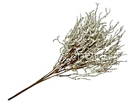 Frosted Willow Spray-Mocha