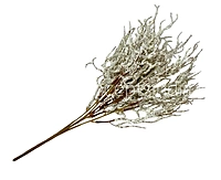 Frosted Willow Spray-Mocha