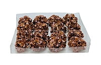 Brown Flowers with Pink Glitter Pollen