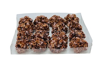 Brown Flowers with Pink Glitter Pollen