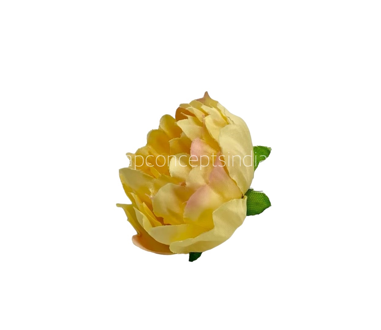 Buttercup with Peach Open Peony
