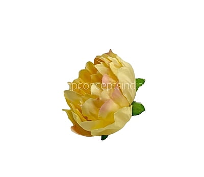 Buttercup with Peach Open Peony