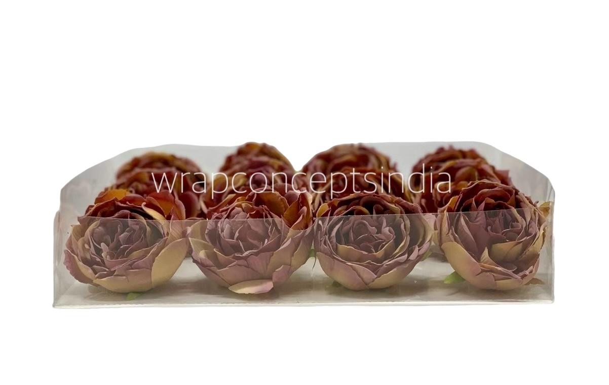 Tawny with Hints of Dusky Pink Peony