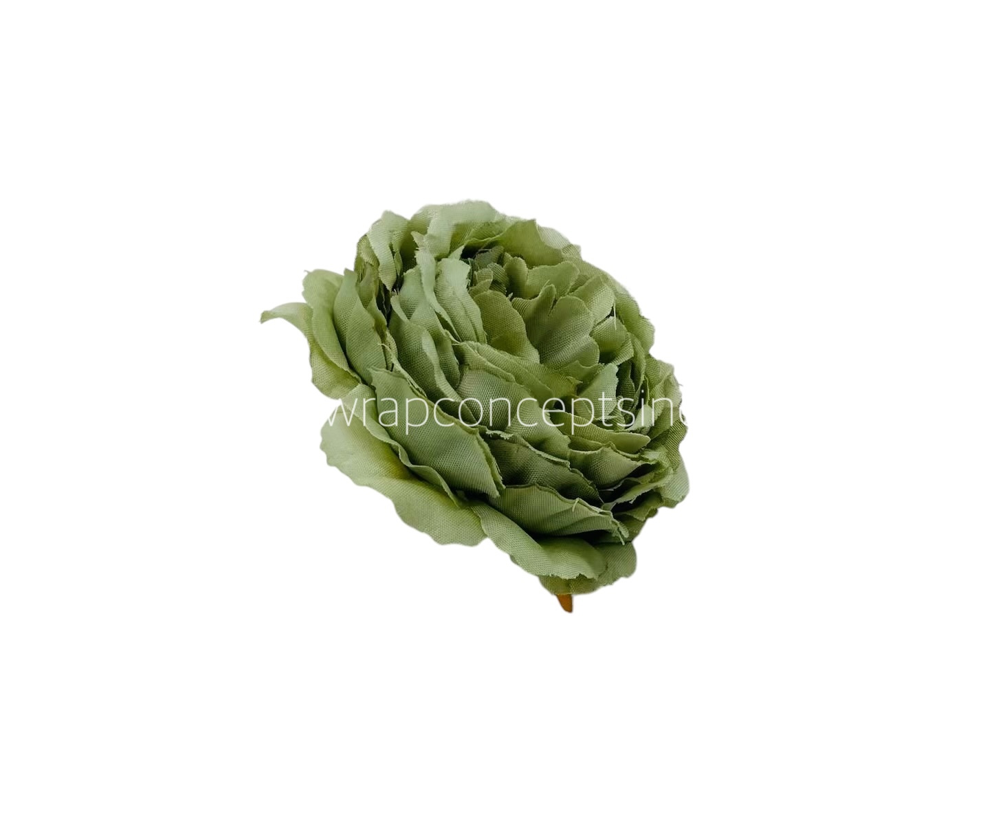 Sage Green Ornate Peony