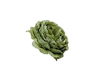 Sage Green Ornate Peony