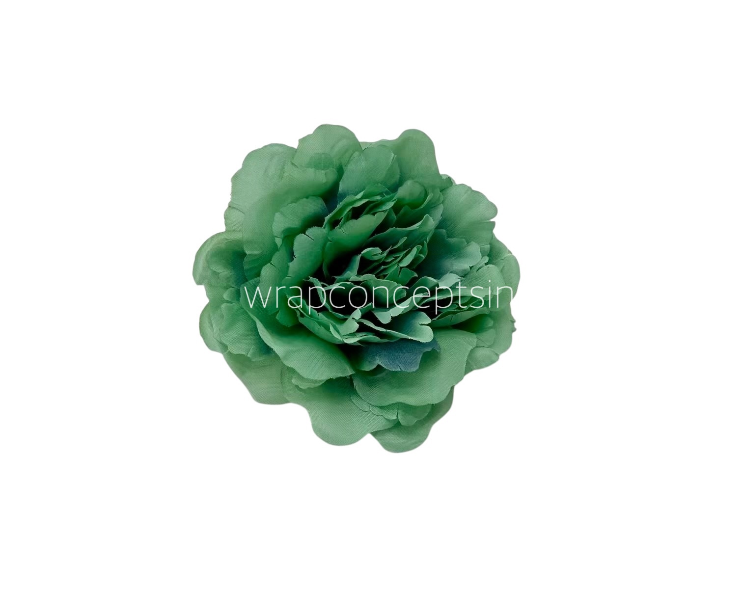 Pine Green Moutan Peony