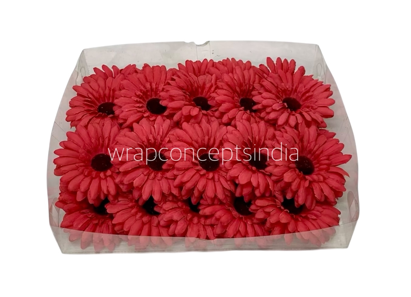 Scarlet Sunflower