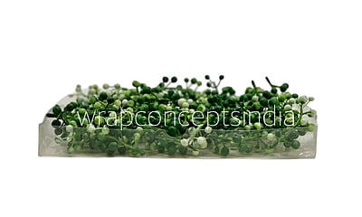 Green & White Big Baby Breath Florets